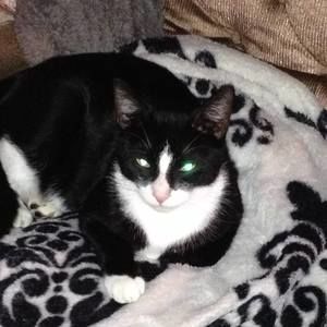 Meet your Posher, Carla